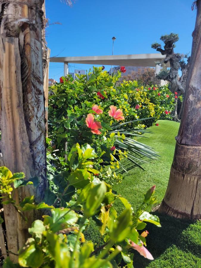 Apartement Verano El Campello - 2 Bedrooms - Piscina - Garaje Εξωτερικό φωτογραφία